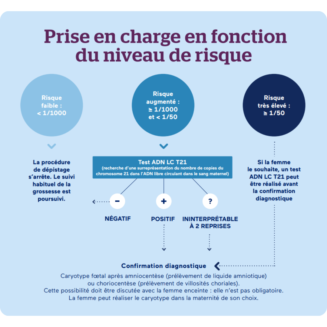 Suivi De Grossesse D Pistage De La Trisomie Et Dpni B A